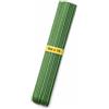 ekaterra Tutori per Piante in Acciaio Plastificato - Resistenti Anti-Ruggine, Bastoni per Pomodori, Orto e Piante da Interno/Esterno - Sostegno Robusto per Crescita Sana (10 Pezzi, 210 cm, Diametro 15,5 mm)