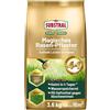 Substral Patch Substral Magic Lawn, riparazioni prato, semi di prato, substrato di semi Premium e fertilizzante, 3,6 kg fino a 16 m²