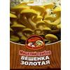 Generic Portale Cool Micelio Oyster in Oro