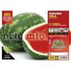 Orto Mio Piantine di Ortaggi in pack cubettato per la produzione famigliare disponibili in molte tipologie e varietà (Anguria Crimson ovale Obla F1 4 piante)