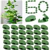 KOCNYDEY 60 pezzi Clip per fissaggio a parete per piante rampicanti Supporto per fissaggio per piante autoadesivo Pianta rampicante Clip di fissaggio per gancio verde Decorazione per interni esterni