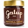 Galup Crema Gianduia 250g - Crema Spalmabile con 18% Nocciole e Cacao Pregiato