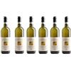 Cantina Sociale Gallura 6 Bottiglie Di Canayli - Vermentino Di Gallura Docg Superiore Cl.75