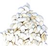 Il Contadino - Antichi Sapori | SEMI DI ZUCCA TOSTATI E EXTRA SALE | Confezione Salva Freschezza, Tostatura Frequente, Frutta Secca di Qualità Premium, No Conservanti, Sale Extra (125g)