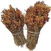 SpiceMasters.co.uk Tisana Iperico Grappolo Intero 220 Grammi - 1,95 Chili - Qualità Premium Hypericum Perforatum (220 grammi)