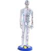 perfk Modello di agopuntura medica cinese, modello di agopuntura umana in PVC, materiale didattico da laboratorio, altezza 40 cm, corpo intero per studenti, Bianco