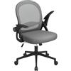 naspaluro Sedia Ufficio, Sedia Scrivania con Supporto Lombare, Poltrona Ufficio in Rete Traspirante, Sedia da Ufficio Ergonomica Braccioli e Altezza Regolabili, Nero (Senza poggiapiedi, Grigio Scuro)