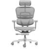 PROCOMFORT ERGOHUMAN Elite Evolution TASC - Poltrona Ergonomica Ufficio 24H, Supporto Lombare Avanzato, Seduta Regolabile, Mesh Traspirante, Portata 150 kg (Silver)