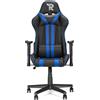 Ranqer Felix Sedia Da Gaming Ergonomica Stile Racing Con Schienale Alto Per Persone Alte, Materiali Resistenti, Base In Nylon, Supporti Lombare E Cervicale Regolabili, Cuscini Inclusi, Nero/Blu