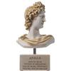 BeautifulGreekStatues Apollo Dio della Musica Poesia Arte Alabastro Pietra Busto Oro Tono Scultura 20cm