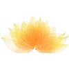 M METERXITY 100 PCS Foglie Scheletro, Foglie Pressate e Essiccate in Gomma Naturale con Venature per Resina/DIY/Biglietti/Scrapbook/Matrimoni, Foglie [4-6cm, Giallo Arancio]