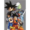 DRAGON BALL Plaid Polaire DBZ - Tous Les personnages - Grigio,