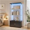 Zorvani Vetrina in vetro con LED,Vetrina in vetro temperato,3 strati di vetro,a 2 porte e lucchetto,vetrine per figure armadio,per soggiorno,ufficio,oggetti da collezione (Nero +LED 2, 3 piani +armadietti)