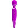 BAILE Magic Wand Power