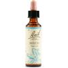 SCHWABE PHARMA ITALIA Schwabe Fiori Di Bach 03 Beech Gocce 20ml