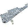 Dopro LP Battipenna e staffa LP in acciaio inox con viti di montaggio in acciaio al nichel per USA Les Paul Zebra Stripe