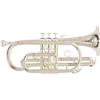 GEWA Roy Benson Bb-Cornet CR-202S (strumento in ottone leggero di alta qualità, per uso professionale, con custodia rettangolare e set di zaini), laccato