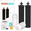 Gunneran Berkey Gravity Water Filter Replacement, 2 filtri a carbone nero e 2 filtri fluoruro bianco, compatibili con purificatori Berkey, confezione da 4