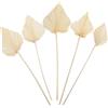 CORHAD 5 Pezzi Foglie di Palma Secche Decorative Naturali, Decorazioni Matrimonio e Festa a Tema Hawaiano, Accessori per Composizioni Floreali e Decorazioni Murali Casa