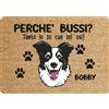 fashwork Tappeto PERSONALIZZATO con nome cane divertente Border Collie Perchè bussi? Zerbino in poliestere 60x40 cm