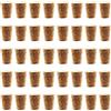 TAODAN 60pcs 25x20x15mm tappi di sughero conici per bottiglie di vino bottiglie di birra in legno tappi di sughero artigianato fai da te