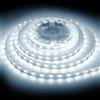 AntDau71® Tubo Luminoso Led 20 Metri Bianco Freddo - Striscia Luminosa Natalizia da Esterno e Interno Impermeabile IP65 per Decorazioni, Addobbi e Atmosfera - CW542