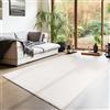 Teppium Tappeto per Soggiorno 240x340 cm Crema Lavabile, Pelo Corto, Moderno Design Monocromatico - Tappeto Lavabile Antiscivolo Extra Morbido e Fluffy per Cucina, Camera da Letto