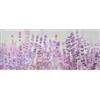 By Suardi Tappeto Arredo Passatoia in Stampa Digitale Emozioni dis. LAVANDA SELVATICA cm 58x80 58x115 58x140 58x190 58x190 58x240 58x280 MADE IN ITALY (58x240)