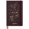 Moleskine Daily Planner Collezione Incantesimi del Mondo Magico Harry Potter Accio, Agenda Giornaliera 12 Mesi, Copertina Rigida Fosforescente, Formato Large 13 x 21 cm
