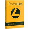 Favini A67H104 Cartoncino Rismaluce - A4 200 g/mq - giallo oro - conf. 125, giallo oro 52