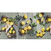 WohnDirect Tappeto da Cucina per Interni Fino a 10 m di Lunghezza - 100% Poliestere - Tappeto Cucina Antiscivolo - Facile da Lavare - 50 x 350 cm