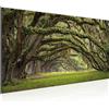 Runa Art Quadri Moderni Foresta paesaggio Tela Non Tessuta Soggiorno Corridoio Natura Verde 609912a