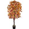 Decovego Ginkgo - Albero di Ginkgo, pianta Artificiale, in Vero Legno, 180 cm, Decorazione per Interni, pianta d'Arte