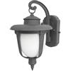 MAKA change your life quality MAKA Lampada da Parete Esterno Lanterna IP55 Impermeabile Portalampada E27 Lampadina Max 60W (non inclusa) Paralume Vetro Opaco e Alluminio Pressofuso H 21 cm x L 17 cm (Grigio Satinato)