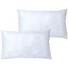 Tata Home Set 2 Pezzi Anima Imbottitura in Ovatta per Cuscini Arredo Divano e Letto Made in Italy Misura 30x50 cm