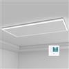 byecold Riscaldamento a infrarossi, montaggio a soffitto, 840 Watt, riscaldamento a raggi infrarossi con illuminazione a LED, riscaldamento a infrarossi, soffitto con termostato, telecomando, piastra