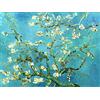 liziciti Kit di Pittura Diamante 5D per Adulti, Trapani Completi Capolavori di Van Gogh Ricamo a Punto Croce con Strass 30x40cm (Fiore di Mandorlo)