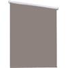 AMZYU Tenda a Rullo Termica 100 x 255 cm Oscurante, su Misura Tenda per Luce Diurna Montaggio Facile e Veloce per Finestra e Camera, Tortora
