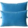 ZZDZW Lusso Cuscino Copre Caso Federa Cuscino 50x70 40x70 60x80 cm Copricuscino Per Divano con Cerniera Federe in Velluto per divano letto arredamento set di due Copricuscini(#11,40x60 cm set of 2)