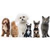 Eletizy Cuscini per animali domestici con foto personalizzate, cuscini divertenti per cani e gatti personalizzati, stampa 3D su entrambi i lati, per compleanno, Natale, Halloween (20cm)