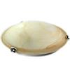 Gicos Lampada plafoniera applique in vetro colori assortiti bianca o ambra 1 luce 25 cm da soffitto ORM-497674