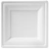 Gradisco 100 Pezzi - Piatto Piano Quadro in Polpa di Cellulosa Bagassa 100% Compostabile, 20x20 cm. Sbiancato e derivante da risorse della Natura. Biodegradabile - Compostabile - Plastic Free.