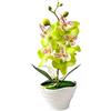 Generico 1 Piece Mini Orchidee Rosse Artificiali in Vaso Verde Simulazione di Orchidea Farfalla Finta Tavolo da Pranzo Decorazione Fiore 27 cm (verde)