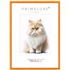 PrimeLuxe Cornice portafoto in legno, realizzata su misura, sottile, 42 x 60 cm, colore arancione lucido, dimensioni a scelta, con vetro acrilico antiriflesso, cornice per poster, puzzle, collage