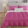 PETTI Artigiani Italiani - Trapunta Matrimoniale Invernale, Piumone Matrimoniale, Tinta Unita Double Face Fuxia Bianco 100% Made in Italy