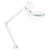 Showlite LL-6085D Lampada Lente LED 8W 5 Diottrie (Lampada Lente, Lente 12,5 cm, 60 SMD LED, Ingrandimento 2,25x, Morsetto da Tavolo) bianco