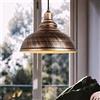 iDEGU Lampada a sospensione Industriale, iDEGU 29CM Lampadario a Sospensione in Metallo E27 Lampada da soffitto Vintage per Cucina Soggiorno Sala da pranzo Camera da letto (rame arrugginito)