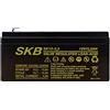 SKB BATTERIA AL PIOMBO RICARICABILE SKB