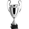 Hole Gadget Coppa Trofeo Personalizzabile Sportivo in Metallo Calcio, Fantacalcio, Tennis, Padel, Basket Riconoscimenti Premiazioni Sportive ed Eventi con Targhetta Personalizzata cod 1.001 (46 cm)