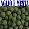 generico BOILIES BOILE Aglio E Menta BOILES CARPFISHING DIAM 20 Pesca Carpa PASTURA Esca INNESCO Aroma
